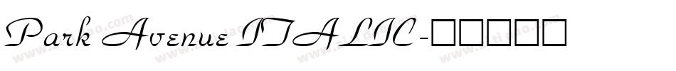 Park Avenue ITALIC字体转换
